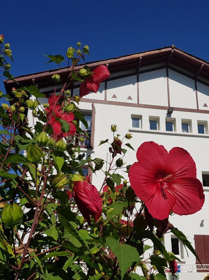 Hotel Pyrenees Atlantique Saint-Pée-sur-Nivelle Eksteriør billede