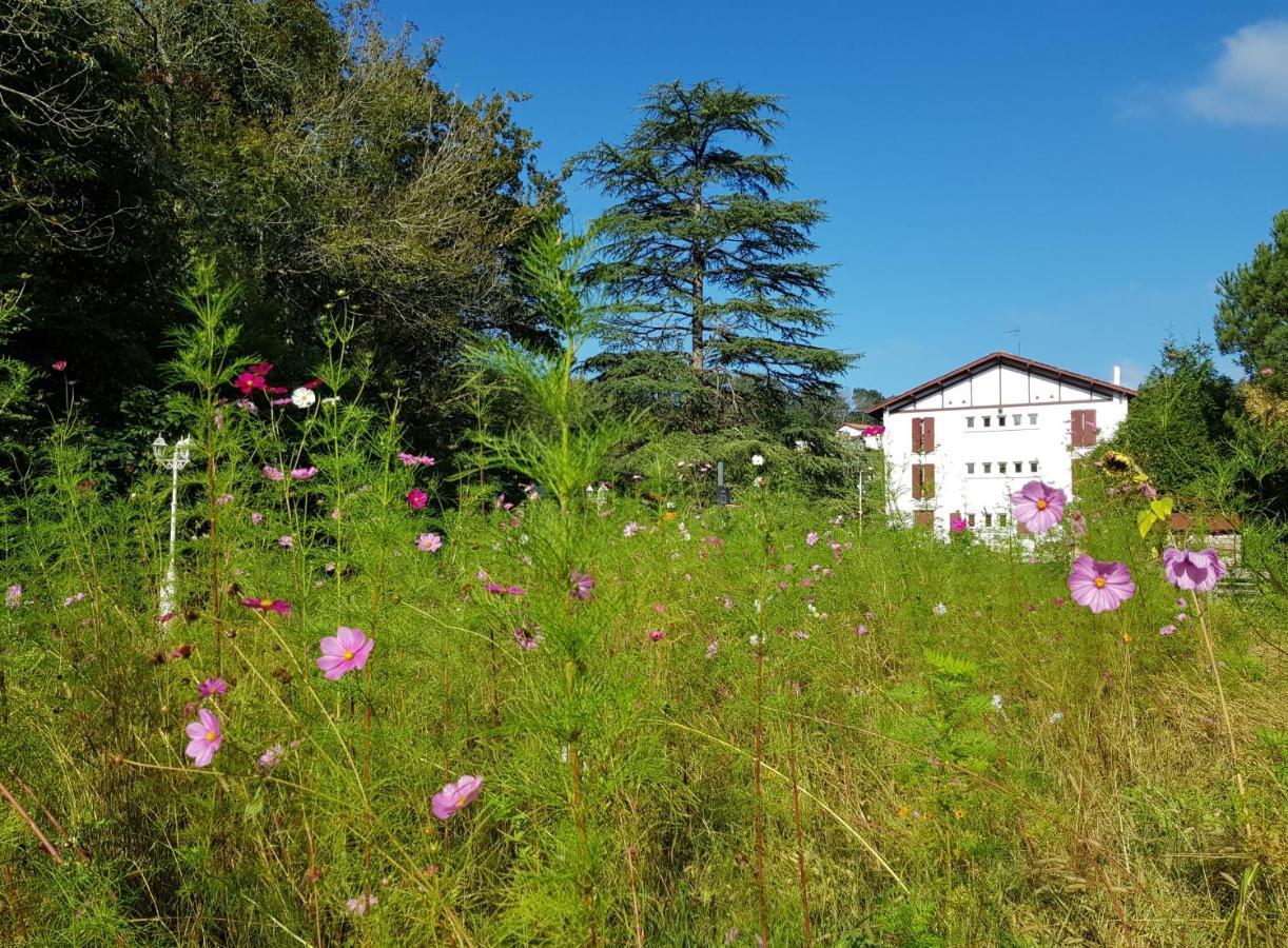 Hotel Pyrenees Atlantique Saint-Pée-sur-Nivelle Eksteriør billede